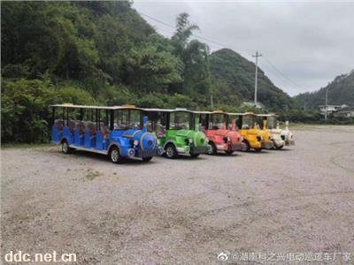 电动观光车。燃油观光车